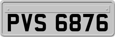 PVS6876