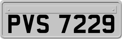 PVS7229