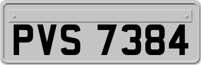 PVS7384