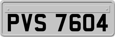 PVS7604
