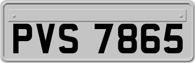 PVS7865
