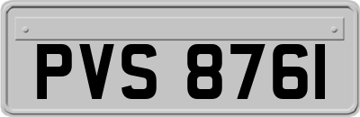 PVS8761