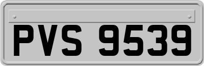 PVS9539
