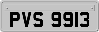 PVS9913