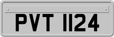 PVT1124