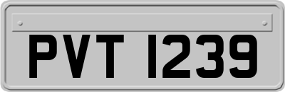 PVT1239