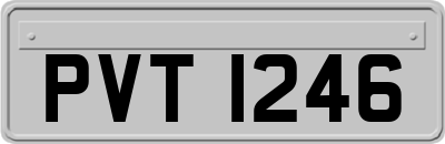 PVT1246