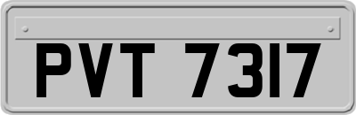 PVT7317