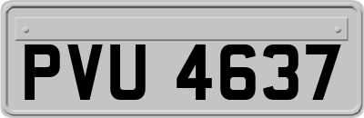 PVU4637