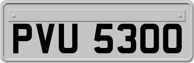 PVU5300