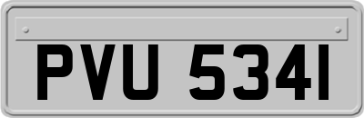 PVU5341