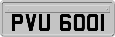 PVU6001