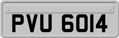 PVU6014