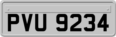 PVU9234