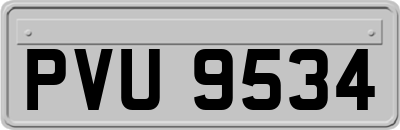 PVU9534