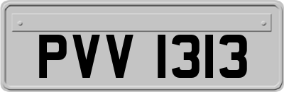 PVV1313
