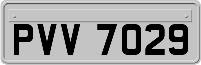 PVV7029