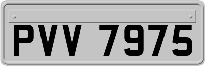 PVV7975