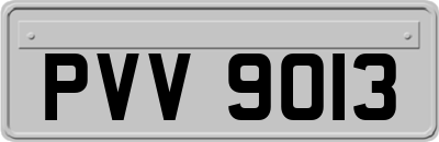 PVV9013