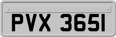 PVX3651
