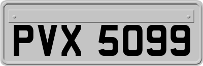 PVX5099