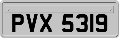 PVX5319