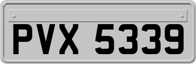 PVX5339