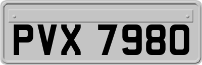 PVX7980