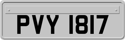 PVY1817