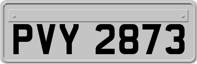 PVY2873