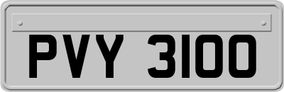 PVY3100