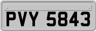 PVY5843