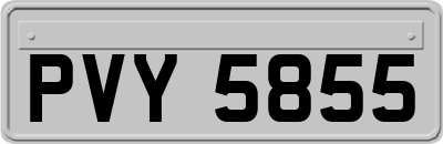PVY5855