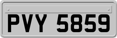 PVY5859