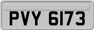 PVY6173