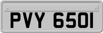 PVY6501