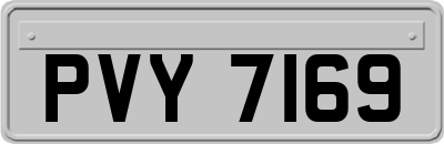 PVY7169