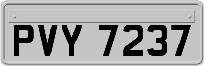 PVY7237