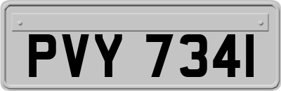 PVY7341