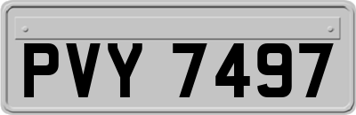 PVY7497