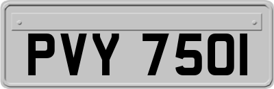 PVY7501
