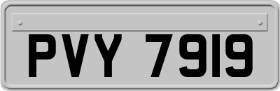 PVY7919