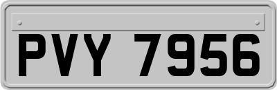 PVY7956