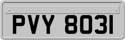 PVY8031