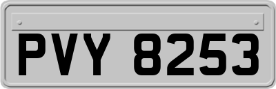 PVY8253
