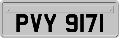 PVY9171
