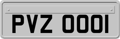 PVZ0001