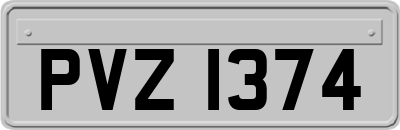 PVZ1374