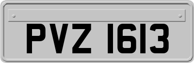 PVZ1613
