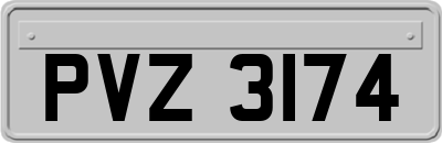 PVZ3174